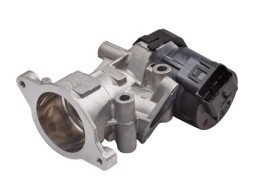 EGR